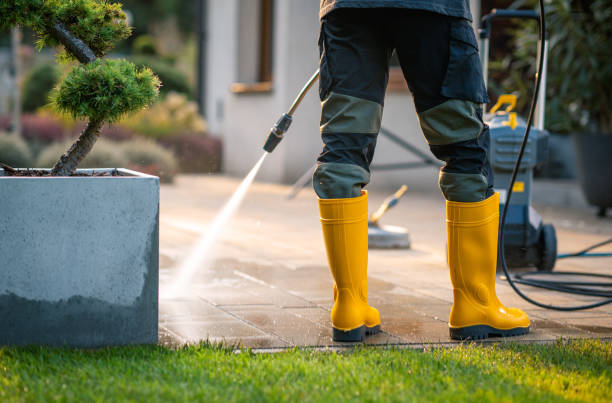 Best Roof Pressure Washing  in Twain Harte, CA